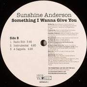 Sunshine Anderson : Something I Wanna Give You (12", Promo)