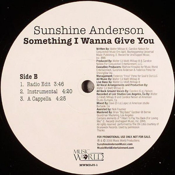 Sunshine Anderson : Something I Wanna Give You (12", Promo)