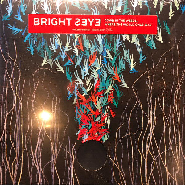 Bright Eyes : Down In The Weeds, Where The World Once Was (LP + LP, S/Sided, Etch + Album)