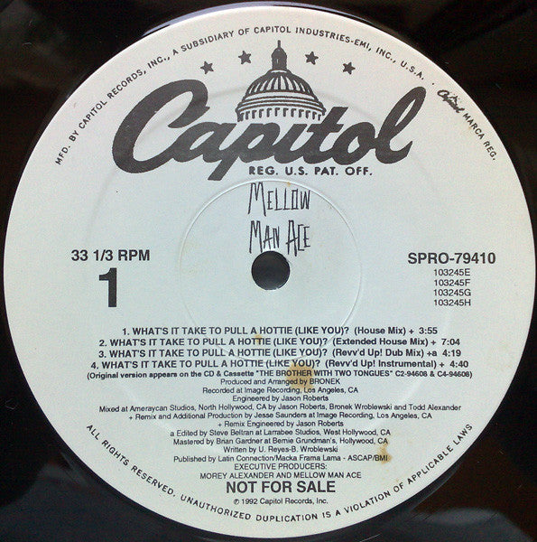 Mellow Man Ace : What's It Take To Pull A Hottie (Like You)? (12", Promo)