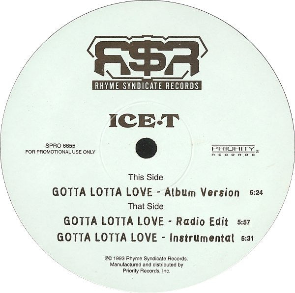 Ice-T : Gotta Lotta Love (12", Promo)