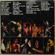 Sha Na Na : The Golden Age Of Rock 'n' Roll (2xLP, Album)