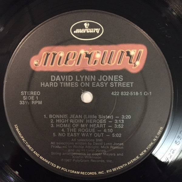 David Lynn Jones : Hard Times On Easy Street (LP, Album)