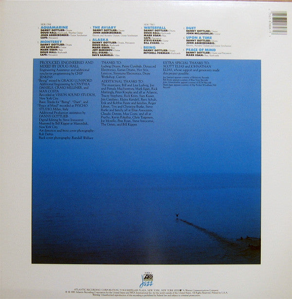 Danny Gottlieb : Aquamarine (LP, Album)