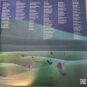 Girl In Red : If I Could Make It Go Quiet (LP, Album, Ltd, Gre)