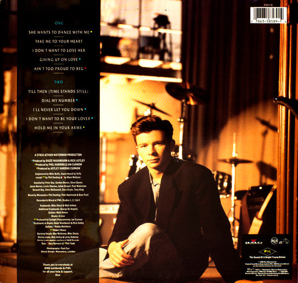 Rick Astley : Hold Me In Your Arms (LP, Album, SRC)