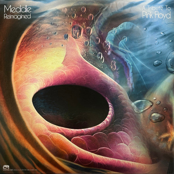 Various : Meddle Reimagined - A Tribute To Pink Floyd (LP, Album, Ltd, Haz)