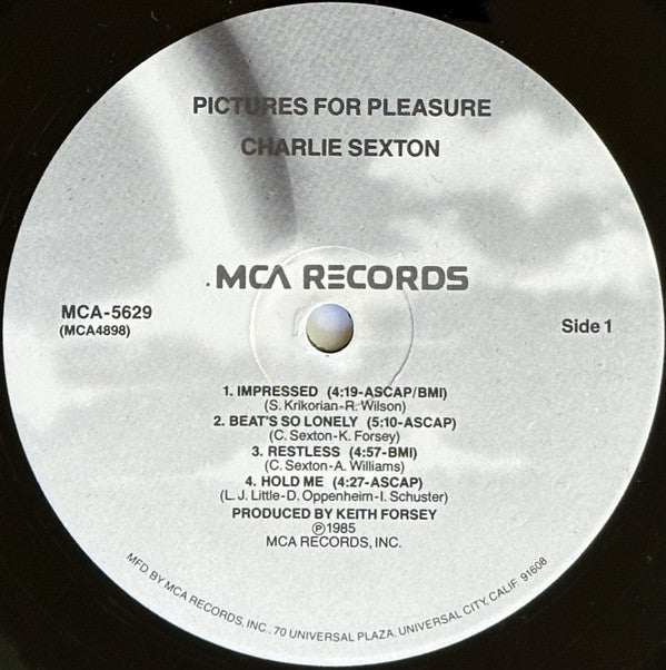 Charlie Sexton : Pictures For Pleasure (LP, Album, Pin)
