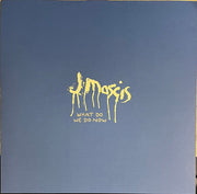 J Mascis : What Do We Do Now (LP, Ltd, Los)