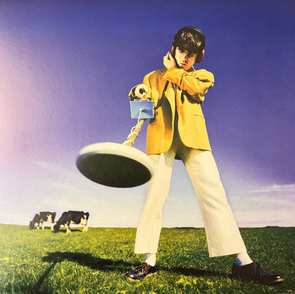 Declan McKenna : What Happened to the Beach? (LP, Album, Dlx, Sig)