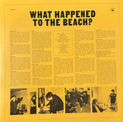 Declan McKenna : What Happened to the Beach? (LP, Album, Dlx, Sig)