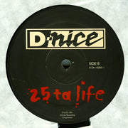 D-Nice : 25 Ta Life (12")