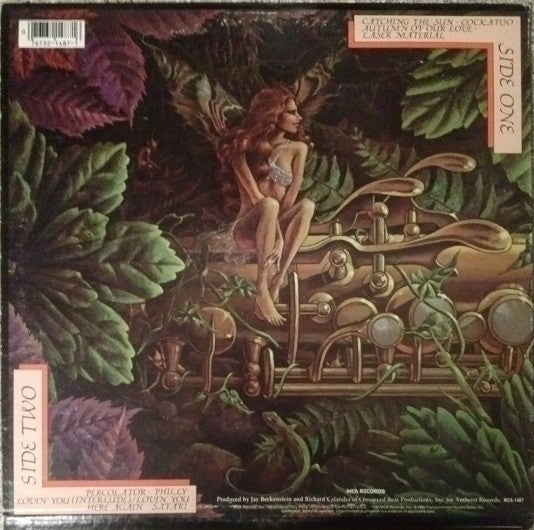 Spyro Gyra : Catching The Sun (LP, Album, RP)