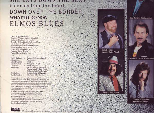 The Bluesbusters (2) : This Time (LP, Album)