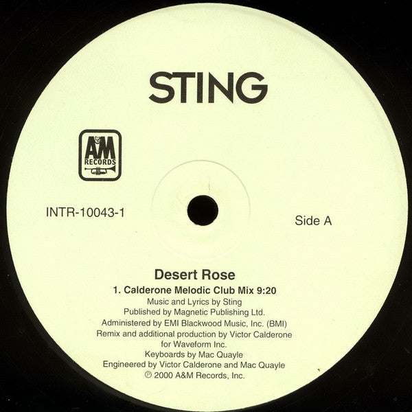 Sting : Desert Rose (Mixes By Victor Calderone) (12")