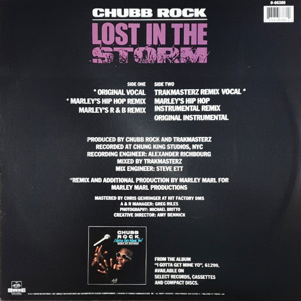 Chubb Rock : Lost In The Storm (12", Maxi)