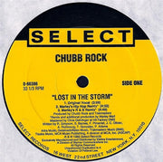 Chubb Rock : Lost In The Storm (12", Maxi)