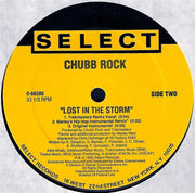 Chubb Rock : Lost In The Storm (12", Maxi)