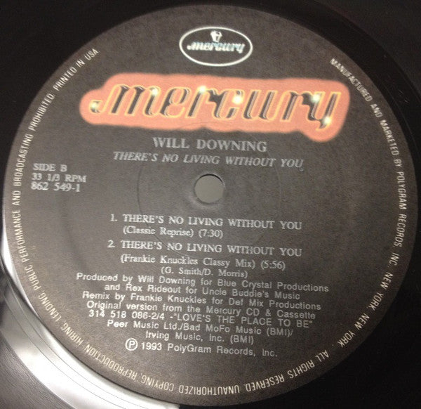 Will Downing : There's No Living Without You (12", Single)