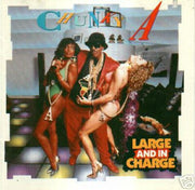 Chunky A : Large And In Charge (LP, Album)