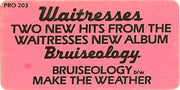 Waitresses* : Bruiseology / Make The Weather (12", Promo)