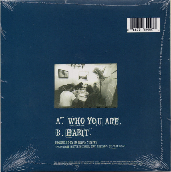 Pearl Jam : Who You Are (7", Single, RE)
